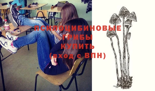 гашик Алексеевка