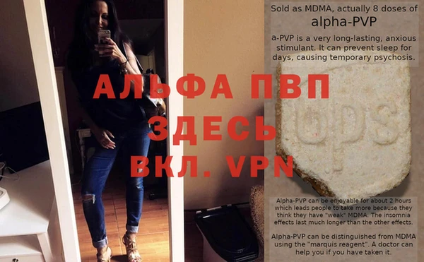 гашик Алексеевка