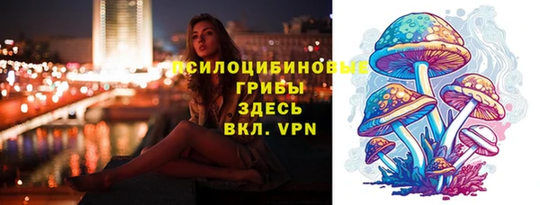 гашик Алексеевка