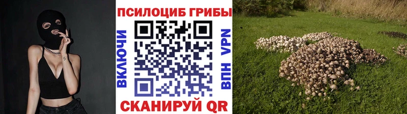 Галлюциногенные грибы MAGIC MUSHROOMS  Аша 