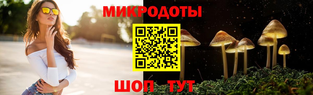 Галлюциногенные грибы GOLDEN TEACHER Аша